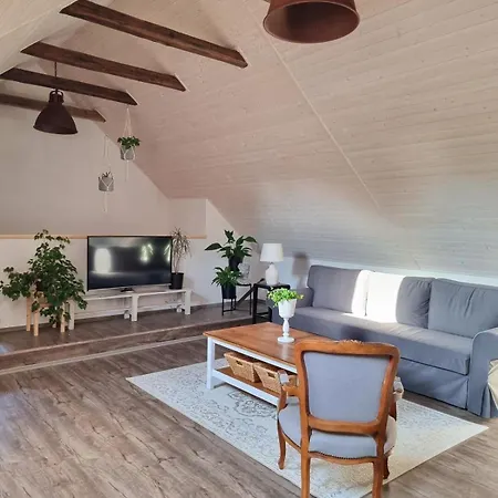 U Stef Appartement Borotice
