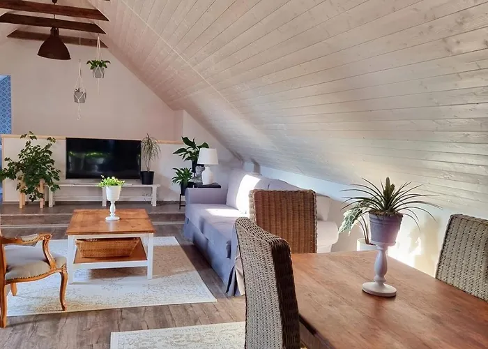 Apartament U Stef Borotice