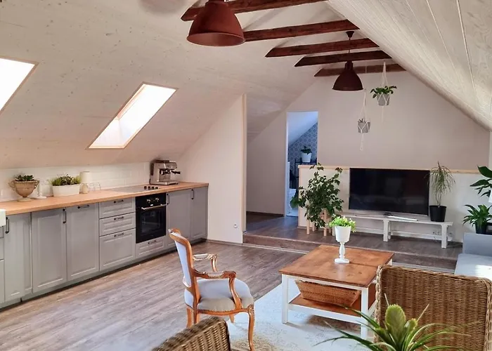 Apartament U Stef Borotice